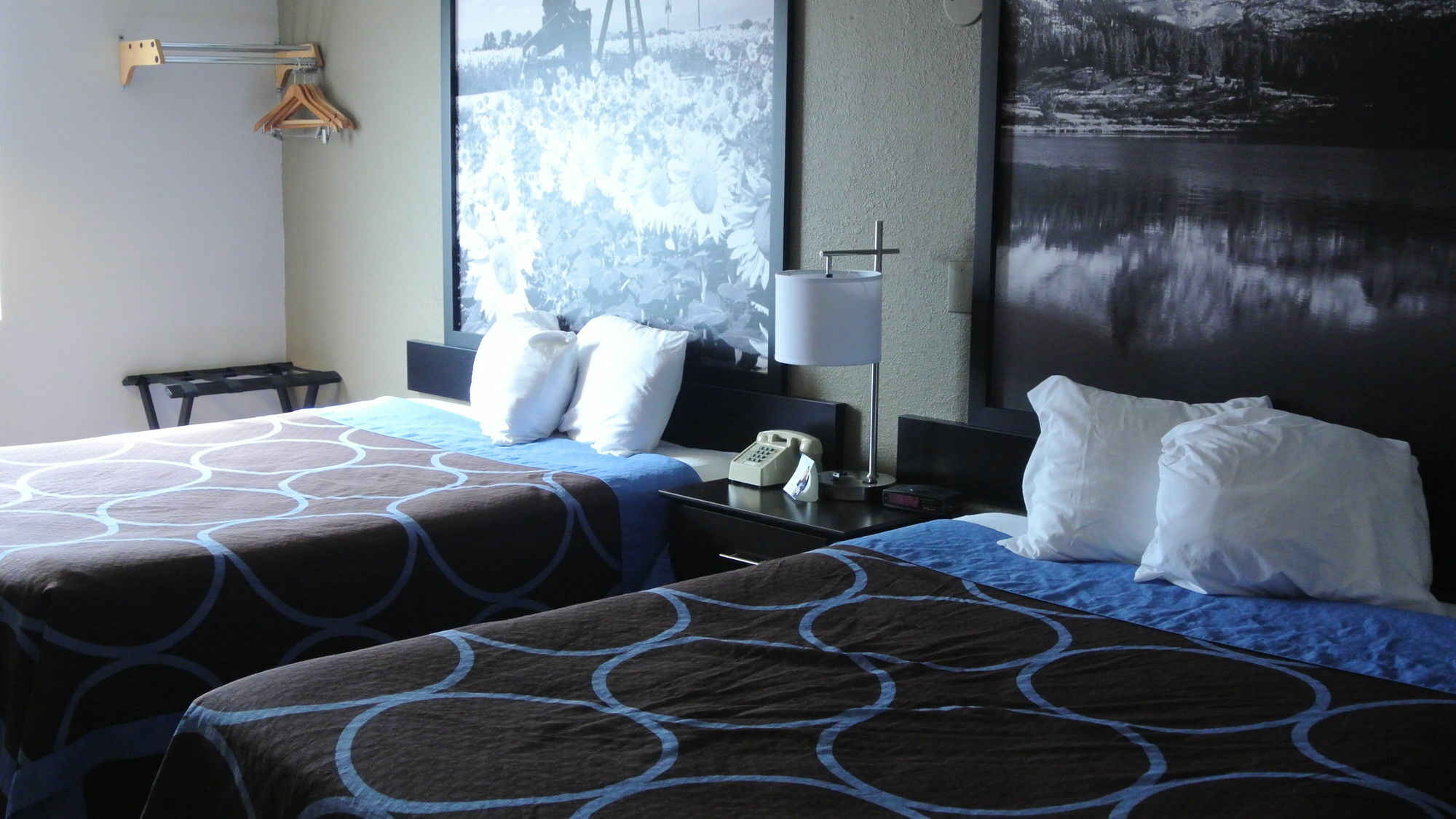Super 8 By Wyndham Cortez/Mesa Verde Area מראה חיצוני תמונה