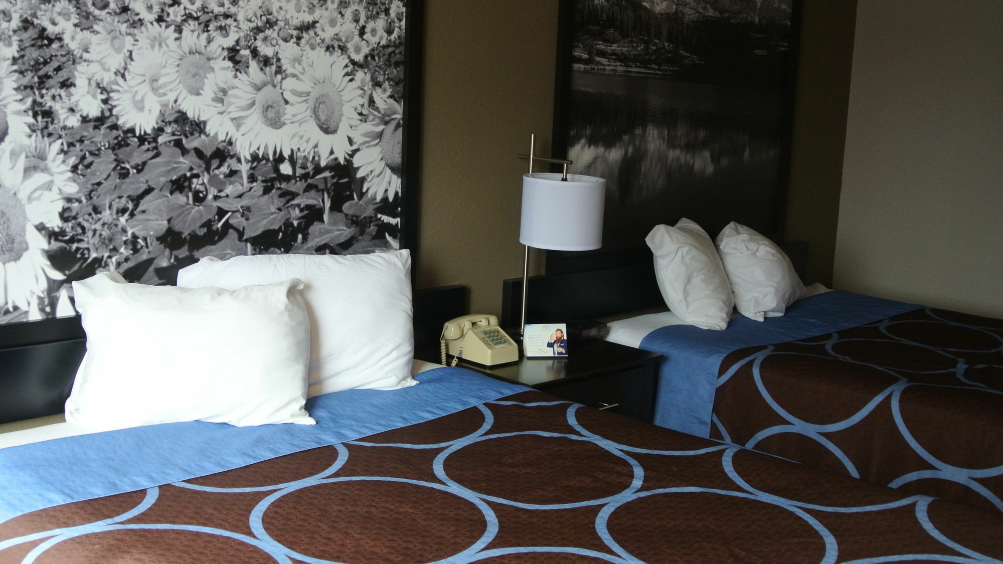 Super 8 By Wyndham Cortez/Mesa Verde Area מראה חיצוני תמונה