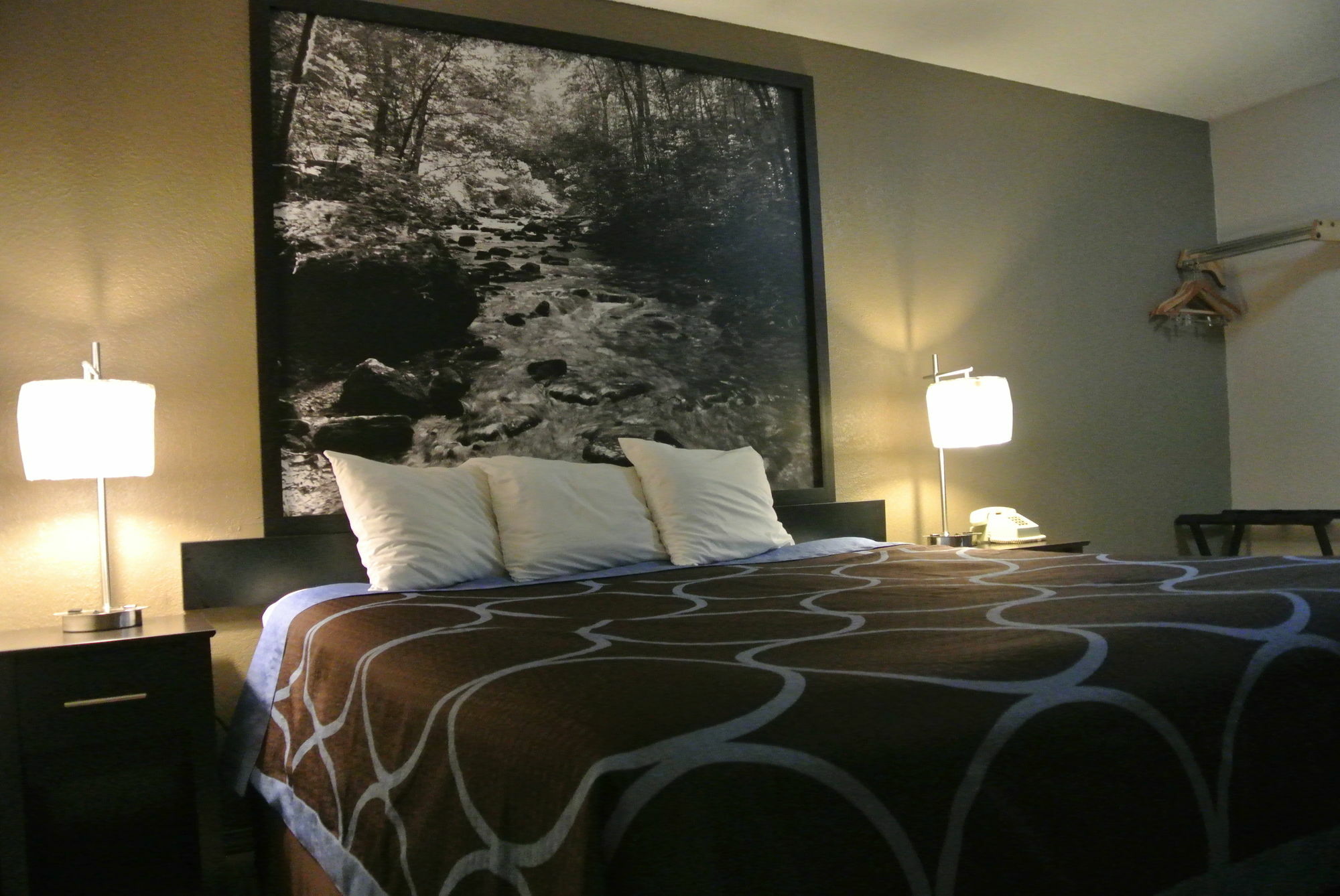 Super 8 By Wyndham Cortez/Mesa Verde Area מראה חיצוני תמונה